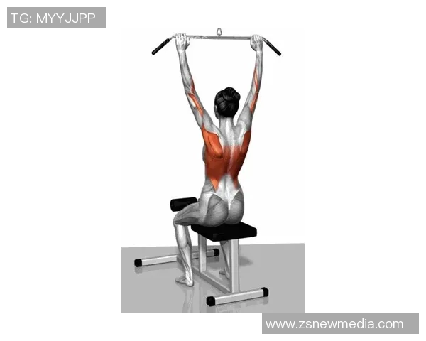 腿部健身器材全解析与使用指南:有效锻炼腿部肌肉的健身器材推荐