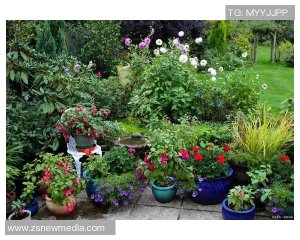 花卉种植技巧与方法探索打造美丽花园的全面指南